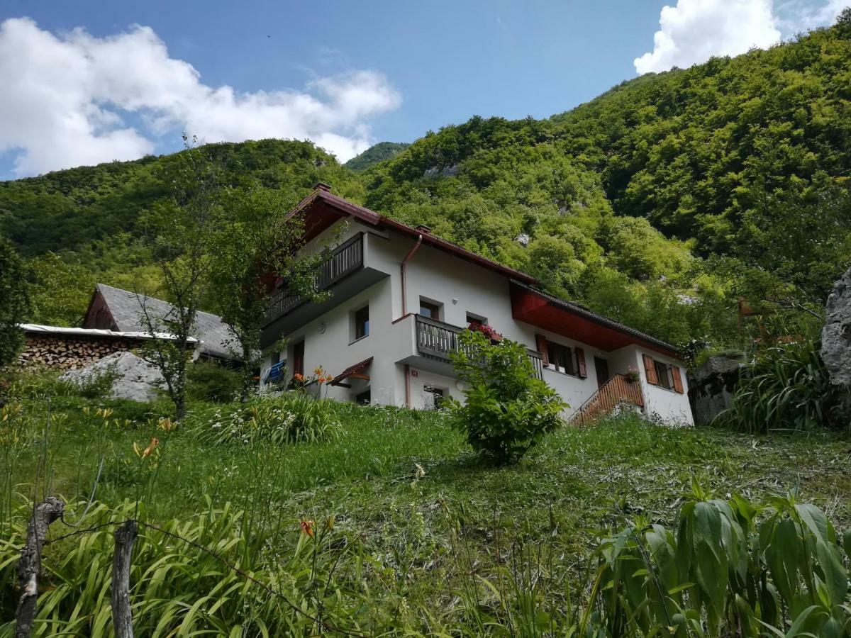 Apartma Ana Ida Srpenica Екстериор снимка